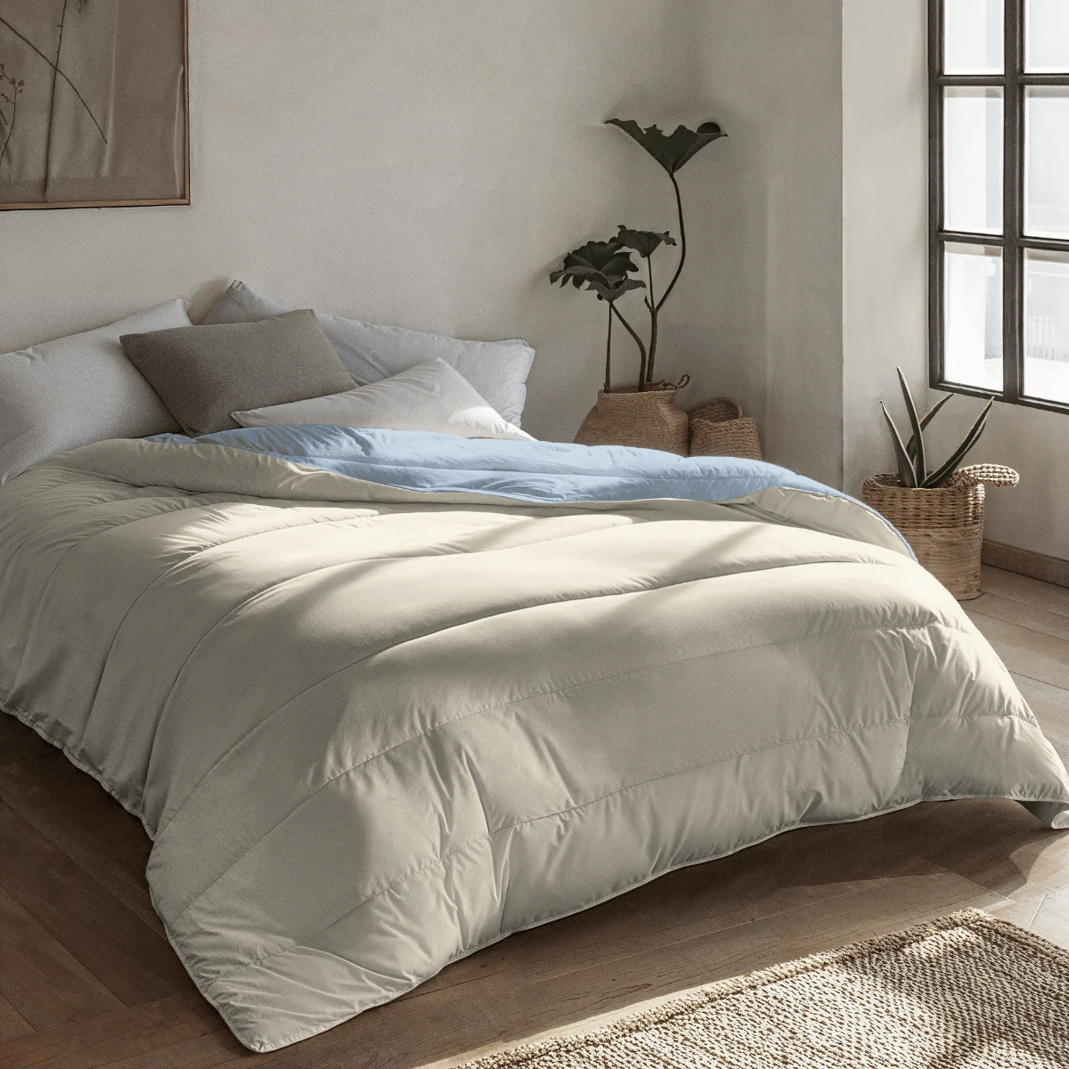 Zelesta Royalbed - Bluefog & Sand Beach - Image 2